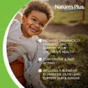 Naturesplus Animal Parade Kidzinc, Tangerine Flavor - 90 Animal-Shaped Lozenges - Organically Chelated Zinc - Vegan, Gluten Free - 90 Servings
