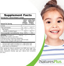 Naturesplus Animal Parade Kidzinc, Tangerine Flavor - 90 Animal-Shaped Lozenges - Organically Chelated Zinc - Vegan, Gluten Free - 90 Servings