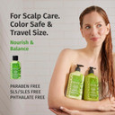 Hempz Biotin Hair Shampoo - Tea Tree & Chamomile - For Scalp Care Hair Growth & Strengthening Of Dry, Damaged And Color Treated Hair, Hydrating, Softening, Moisturizing - Travel Size 2.25 Fl Oz