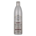 Il Salone Milano Professional Magnificent Shampoo For Color Treated Hair - Protects And Prolongs Color - Premium Quality (16.91 Fl. Oz.)16.91 Fl Oz / 500Ml Il Salone Milano Professional Magnificent Shampoo For Color Treated Hair - Protects And Prolongs Color - Premium Quality (16.91 Fl. Oz.)16.91 Fl Oz / 500Ml