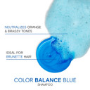 Joico Color Balance Blue Shampoo | For Lightened Brown Hair | Eliminate Brassy Orange Tones | Boost Color Vibrancy & Shine | Protect Against Harmful Uv Radiation | With Rosehip Oil & Green Tea Extract