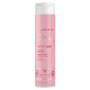 Joico Innerjoi Preserve Shampoo | For Color-Protection & Shine | For Color-Treated Hair | Sulfate & Paraben Free | Naturally-Derived Vegan Formula Joico Innerjoi Preserve Shampoo | For Color-Protection & Shine | For Color-Treated Hair | Sulfate & Paraben Free | Naturally-Derived Vegan Formula