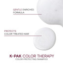 Joico K-Pak Color Therapy Color-Protecting Shampoo | For Color-Treated Hair | Boost Shine | Improve Elasticity | Repair Breakage | Rebuild Damaged Hair | With Keratin & Argan Oil