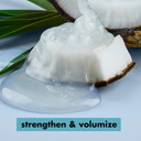 Love Beauty And Planet Volume And Bounty Hair Shampoo Thickening Coconut Water & Mimosa Flower Sulfate Free 3 Oz, 12 Pieces
