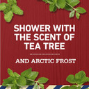 Old Spice Reinvigorate Shampoo For Men With Tea Tree Oil, 21.9 Oz Each, Twin Pack