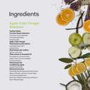 Phillip Adam Apple Cider Vinegar Shampoo For Shiny Hair - Sulfate Free And Paraben Free - Original Green Apple Scent - 12 Ounce