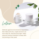 Ecco Bella Avegan And Wellness Beauty Plant Based Restore Night Cream Build Firmer Younger Skin While You Sleep