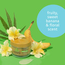 Hempz Original Herbal Sugar Body Scrub, 7.3 Fluid Ounce