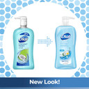 Dial Body Wash, Refresh & Renew Coconut Water, 32 Fl Oz