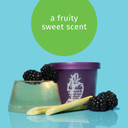 Hempz Blackberry & Lemongrass Herbal Cleansing Shower Jelly, 4 Oz