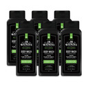 Jr Watkins Natural Daily Moisturizing Body Wash, Wintergreen & Sprice, 6 Pack, Hydrating Shower Gel For Men And Women, Free Of Sls, Usa Made And Cruelty Free, 18 Fl Oz (Pack Of 6)