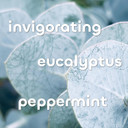 Seaweed Bath Co. Detox Body Wash, Orange Cedar Scent, 12 Ounce, Shower Gel For Men & Women, Vegan, Paraben Free, Sulfate Free, Cruelty Free