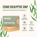Banyan Botanicals Cedar Eucalyptus Soap  With Eucalyptus And Himalayan Cedarwood Essential Oil  Calming & Refreshing With An Invigorating Scent  4 Oz Bar  Free Of Sulfates, Phthalates & Parabens