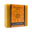 Plantlife Pumpkin Spice Bar Soap - Moisturizing And Soothing Soap For Your Skin - Hand Crafted Using Plant-Based Ingredients - Made In California 4Oz Bar4 Ounce (Pack Of 1)