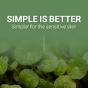 Scinic The Simple Cica Toner Pad 60 Pcs | Vegan-Certified Cotton Fabric | Mild Peeling Without Irritation | Gentle Ph 5.5 Pha Peeing | 100% Vegan | K-Beauty
