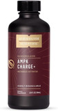 Quicksilver Scientific Ampk Charge+ - Support The Benefits Of Intermittent Fasting, Carb Restrictive + Keto Protocols - Promotes Energy Production, Fat Breakdown + Healthy Aging (3.38Oz / 100Ml)3.38 Fl Oz (Pack Of 1)
