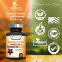 Pure Caralluma Fimbriata Extract Highly Concentrated 1200Mg - Natural Endurance Support, Best Vegan Supplement For Men & Women, Non-Gmo - 180 Capsules180 Count (Pack Of 1)