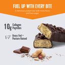 Vital Performance Protein Bar, Healthy Snacks, 20G Of Protein, 10G Of Collagen Peptides, Gluten Free, 2-3G Of Sugar, Low Lactose, 12 Pack, Salty Chocolate Peanut