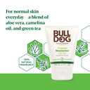 Bulldog Mens Skincare And Grooming Face Moisturizer Original, 3.3 Fluid Ounce