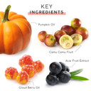 Mychelle Dermaceuticals Pumpkin Renew Cream (1.2 Fl Oz) - Daily Face Moisturizer With Pumpkin Seed Oil, Cloudberry Extract & Antioxidants - Moisturizes, Nourishes & Strengthens Skin