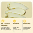 Torriden Solid-In Ceramide Cream 2.4 Fl Oz | Ceramide Moisturizer For Healthy Skin Barrier, Soothing, Nourishing | Fragrance-Free, Alcohol-Free | Vegan, Clean, Cruelty-Free Korean Skin Care Torriden Solid-In Ceramide Cream 2.4 Fl Oz | Ceramide Moisturizer For Healthy Skin Barrier, Soothing, Nourishing | Fragrance-Free, Alcohol-Free | Vegan, Clean, Cruelty-Free Korean Skin Care