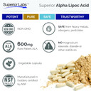 Superior Labs Alpha Lipoic Acid - Pure Non-Gmo Ala 600Mg (4 Month Supply) 120 Servings - Zero Synthetic Additives - Supports Healthy Aging, Nerve Health, Tingling Feet, Hands & Overall Wellbeing