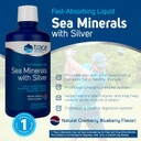 Trace Minerals | Liquid Sea Minerals With Silver | Fast Absorbing Herb And Sea Vegetable Nutrient Blend With Vitamins, Colloidal Silver, & Aloe Vera | Cranberry Blueberry Flavor | 32 Fl Oz, 32 Servings