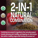 Bronson Tart Cherry Extract + Celery Seed Capsules - Powerful Uric Acid Cleanse, Joint Mobility Support & Muscle Recovery Supplement - Non Gmo Formula, 120 Vegetarian Capsules120 Count (Pack Of 1)