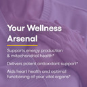 Natural Factors, Coenzyme Q10 100 Mg, Natural Coenzyme Q10 Supplement For Energy, Heart And Cognitive Support