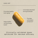 Powerful Coq10 Supplementã¢ÂSustained Released Microactive Coq10 For Enhanced Absorption ÃÂ 100Mg Of Coq10 Per Capsule Supports Immune, Energy ÃÂ60 Vegetable Capsules