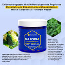 Natural Stacks Sulforaphane 25Mg - Organic Broccoli Sprouts Supplement - Superfood Kale Leaf Powder With N Acetyl Cysteine - Brain Health Supplements, 120 Vegan Capsules