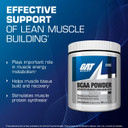 Gat Sport Bcaa Powder Nutritional Supplement, 266.5 Gram