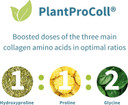 Pure & Essential Vegan Collagen Peptide Powder, Enhanced With Glycine, Proline & Hydroxyproline & Cofactor Vitamin C, Non Gmo, Complete Vegetarian Plant Based Collagen Powder Booster, 35 Servings