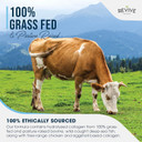 Revive Naturals Multi Collagen Hydrolyzed Protein Powder (16Oz) - Types I, Ii, Iii, V & X - Grass Fed Bovine, Wild Caught Marine, Free Roaming Chicken & Eggshell Collagen Peptides