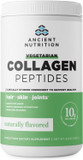 Vegetarian Collagen Peptides by Ancient Nutrition, Collagen Peptides Powder, Collagen Powder with Natural Flavor, Prebiotics and Probiotics, Supports Healthy Skin, Hair, Joints, Digestion, 28 Servings