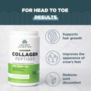 Vegetarian Collagen Peptides by Ancient Nutrition, Collagen Peptides Powder, Collagen Powder with Natural Flavor, Prebiotics and Probiotics, Supports Healthy Skin, Hair, Joints, Digestion, 28 Servings