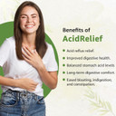 Bodymune Acidrelief All-Natural Usda Organic Acid Relief Supplement, Acid Indigestion Relief Supplement | 100% Vegan Non-Gmo Gluten-Free Usa Made - 60 Capsules