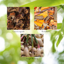 Nature'S Sunshine Lower Bowel Stimulator - Helps Relieve Constipation - Cleanse & Detox Your Colon With Natural Herbal Ingredients - 25 Servings - 100 Capsules