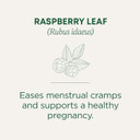 Traditional Medicinals Tea, Organic Raspberry Leaf, Eases Menstrual Cramps, Supports a Healthy Pregnancy, 48 Tea Bags (3 Pack)16 Count (Pack of 3)