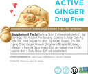 Ginger Rescue Chewable Tablets By The Ginger People  Drug Free Digestive Health, Chewable Tablets, Strong Ginger Flavor, 0.55 Oz, 240 Tablets, (Pack Of 10)