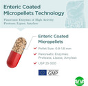 Micrazym Avva Pharm Pancreatic Enzymes - 25,000 Usp Effective Pancreatic Enzyme Supplements - Digestive Enzymes For Digestion - 50 Fast-Acting Capsules With Amylase, Lipase And Protease