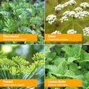 Herb Pharm Better Bitters Certified Organic Digestive Bitters, Absinthium, 1 Ounce1 Fl Oz (Pack Of 1)