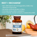 Himalaya Ashwagandha+ Relax, With Gaba, Holy Basil & Chamomile For Reset, Relaxation & Stress Relief, Vegan, Gluten Free, 540 Mg, 60 Vegetarian Capsules, 1 Month Supply