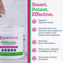Just Thrive Prebiotic Powder - Digestive And Immune Support Supplement, 150 G