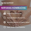 Trio Nutrition Nirvana Kombucha | Prebiotics, Probiotics & Organic Kombucha Tea | Probiotic Multi Enzyme Digestive Formula | Digestive & Immune Support | Prebiotics For Women & Men | 30 Day Supply