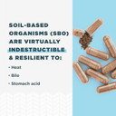 Ancient Nutrition Probiotics For Women, Once Daily Women'S Probiotics 30Ct, Digestive Support And Reduces Occasional Bloating, Made With Chaste Tree Berry And Amla Berry, 25 Billion Cfus