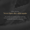 Aloe Vera Body & Face Moisturizer  Fragrance Free Face Cream, Body Cream, Hand Lotion For Dry Skin  1 Large Jar (8 Oz.) & 1 Travel Jar (0.5 Oz.)  Full Body Lotion For Skin Care By Infinitealoe