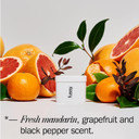 Fussy - Natural Refillable Deodorant - Aluminium Free - 24 Hour Protection - Citrus Scent & Burnt Orange Case - Mandarin, Grapefruit & Pepper - Vegan & Cruelty Free - 100% Natural & Effective