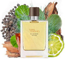 Hermes Terre Dhermes Eau Intense Vetiver For Men 3.3 Oz Edp Spray

Size: 93.56 G (Pack Of 1)