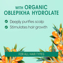 Natura Siberica Professional Oblepikha Scalp Scrub